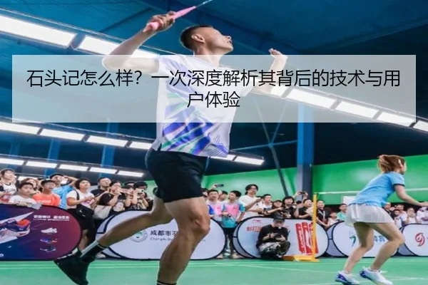 石头记怎么样？一次深度解析其背后的技术与用户体验