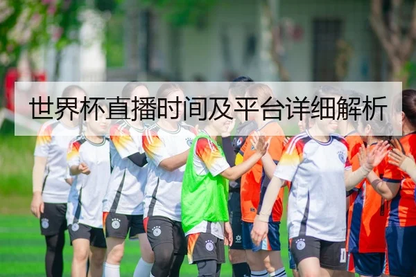 世界杯直播时间及平台详细解析