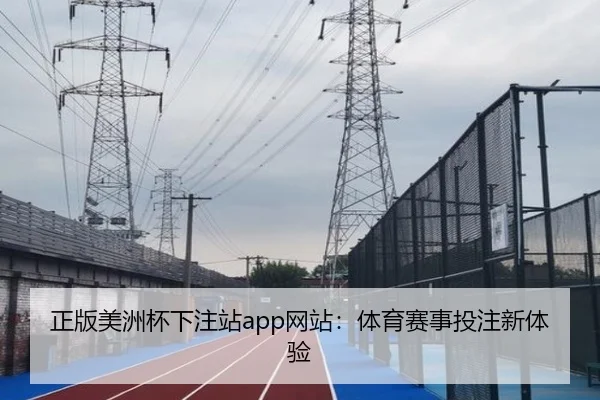 正版美洲杯下注站app网站：体育赛事投注新体验